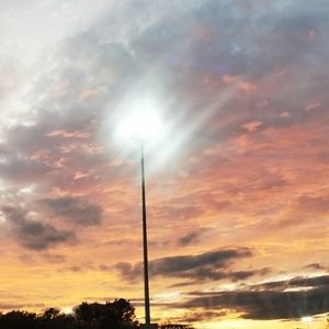 Meet your Posher, Daisy